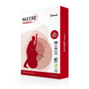 Папір А4 Maestro Standart 80g 500аркушів Клас B+ #2